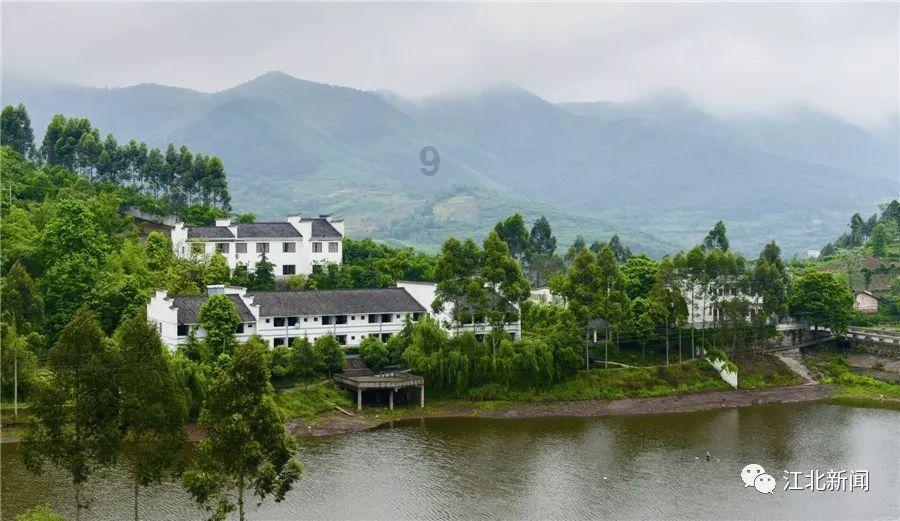 荒漠上的绿水青山！新时代防沙治沙磴口模式 