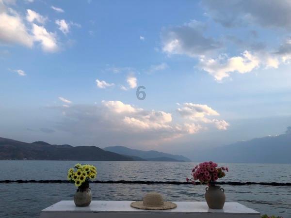 淘气兔救援
